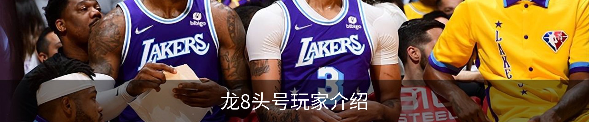 龙8头号玩家介绍